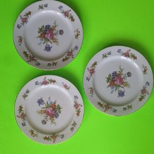 Floral Porcelain Dinner Plates Set